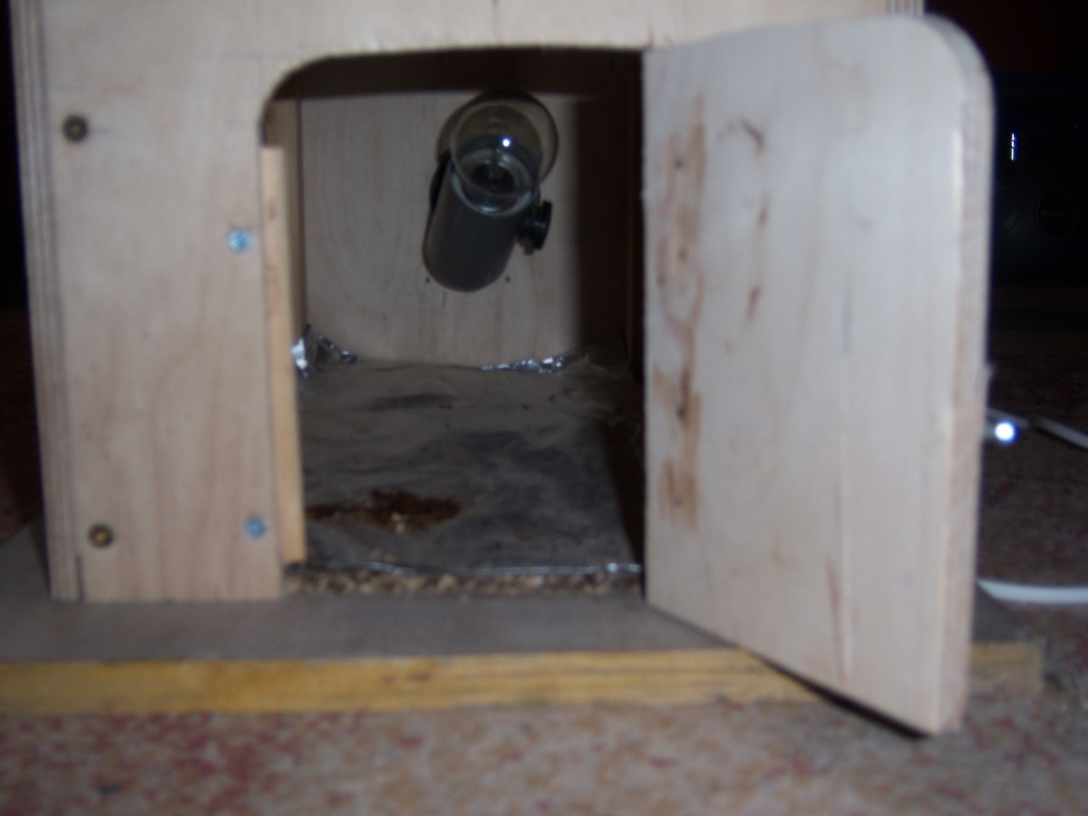 How To Make A Biltong Dryer Box With Plans And Photos Dengarden