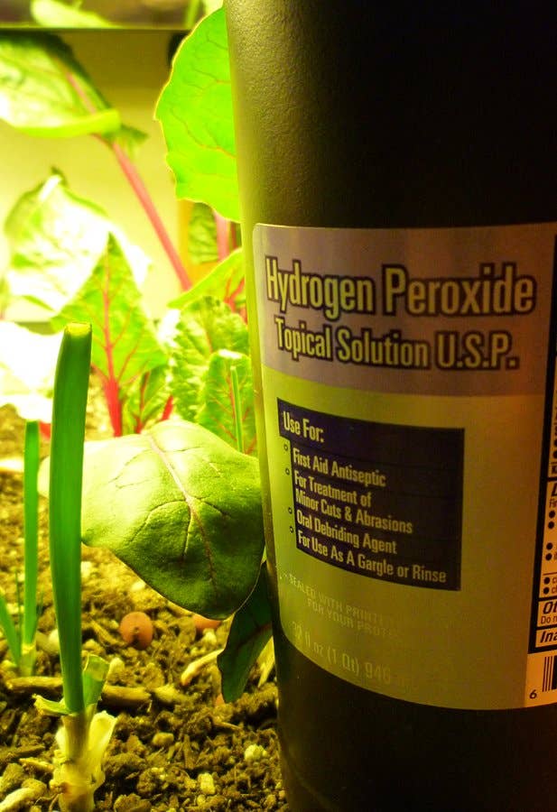 Hydrogen Peroxide for Plants - Dengarden
