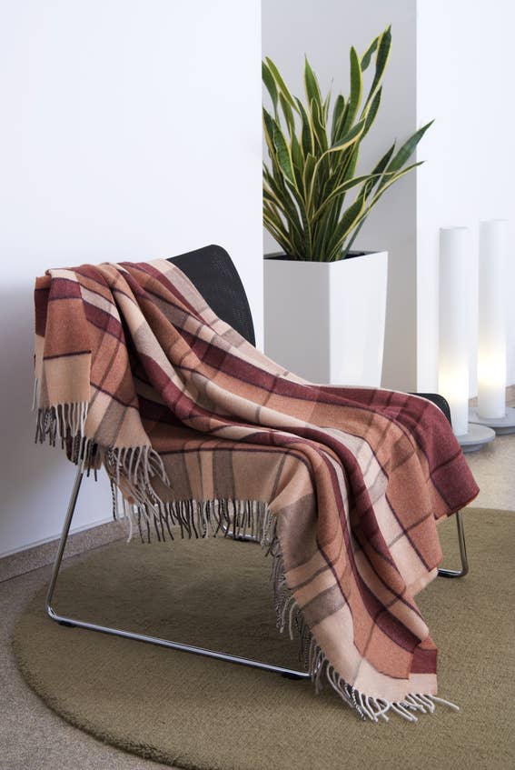 Sansevieria (Snake Plant) for Clean Air and Allergy Relief - Dengarden