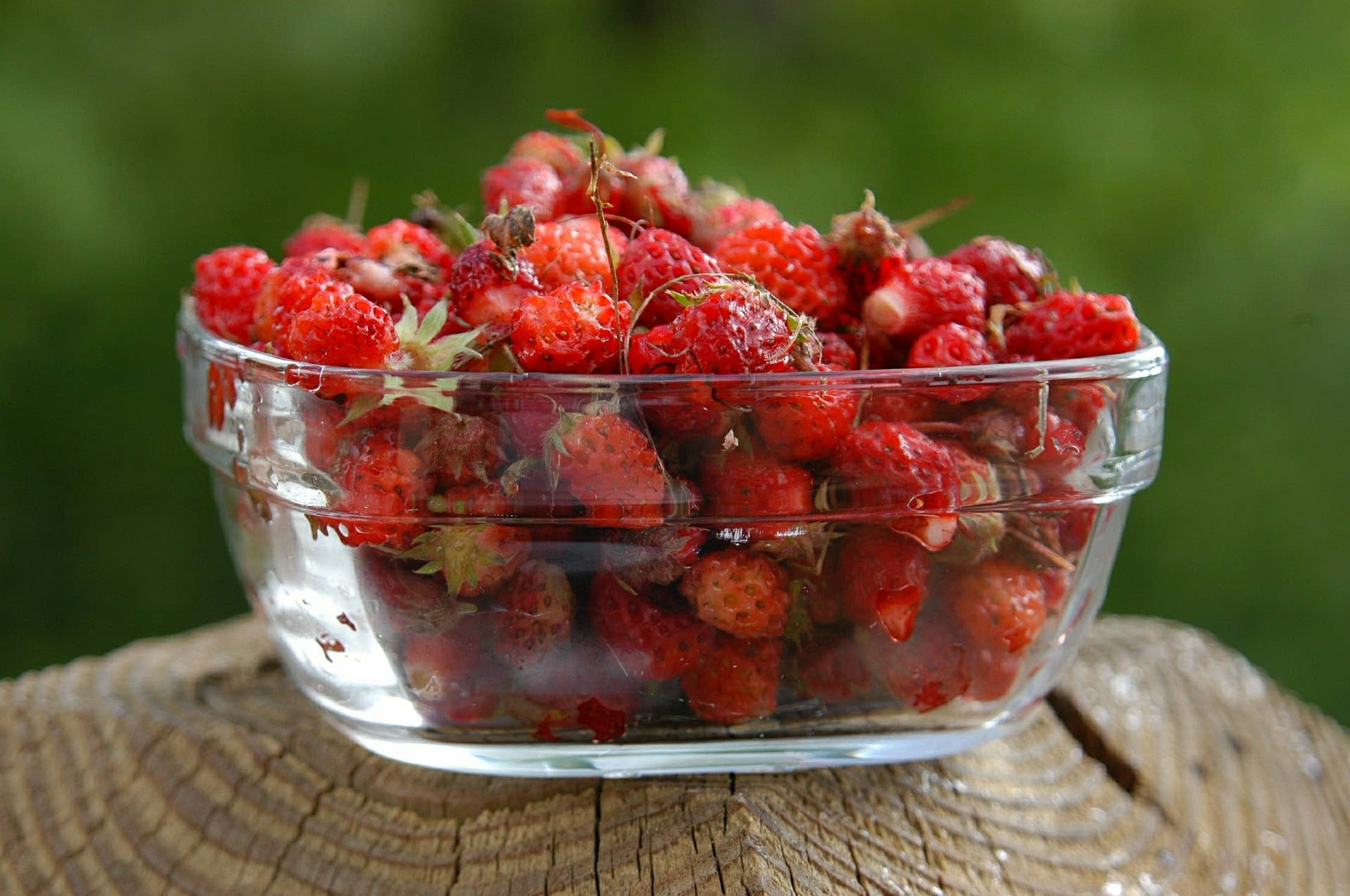 Wild Strawberries vs. Mock Strawberries: What's the Difference