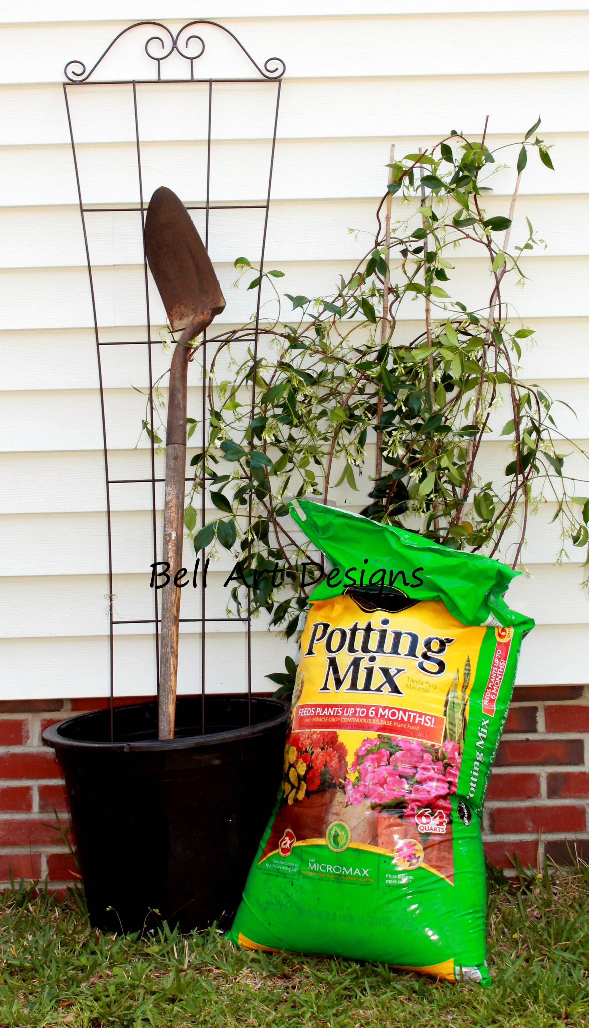 dracaena silk plant United Nursery 10 in. Dracaena Janet Craig Plant in Grower Pot