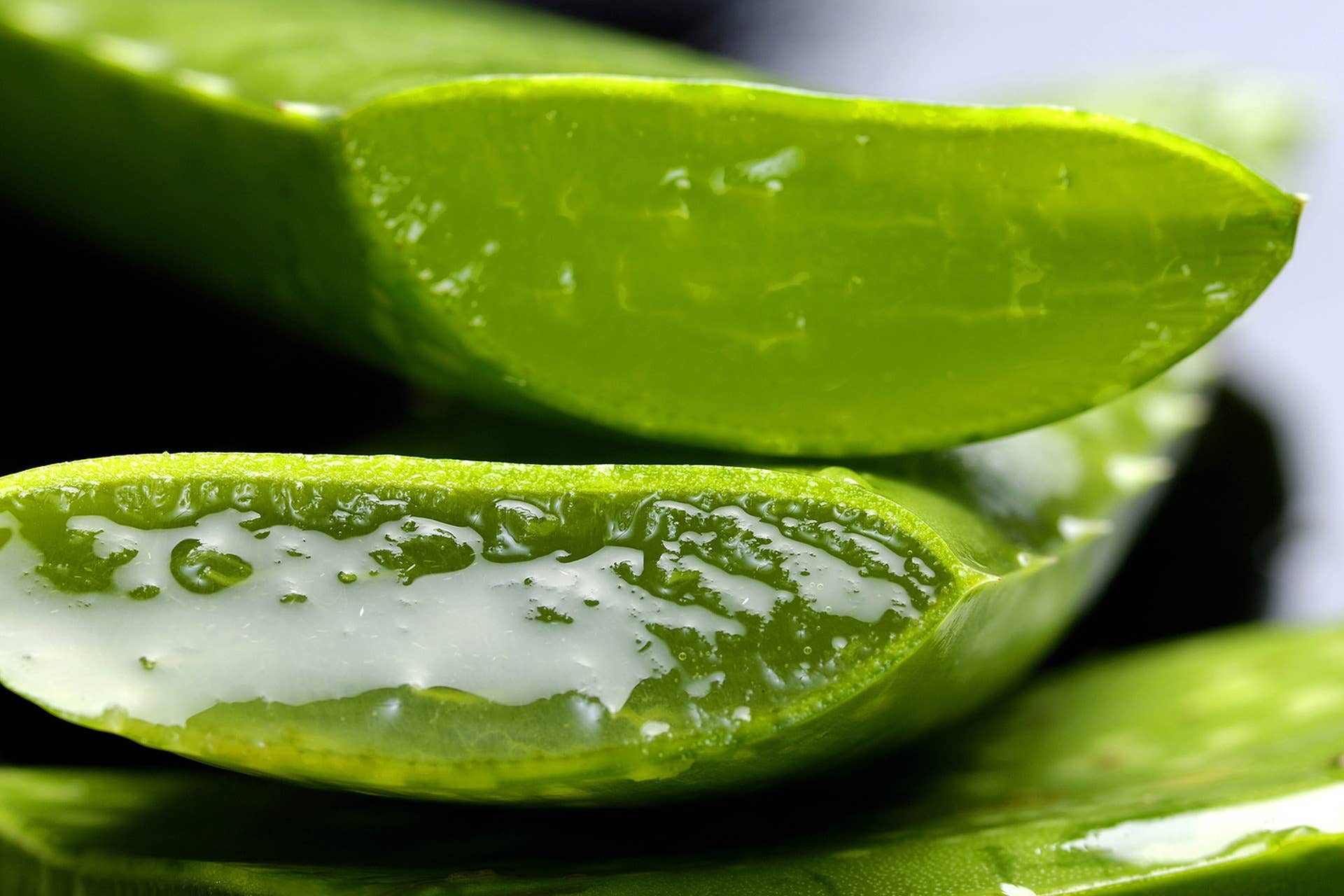 How to Care for an Aloe Vera Plant - Dengarden