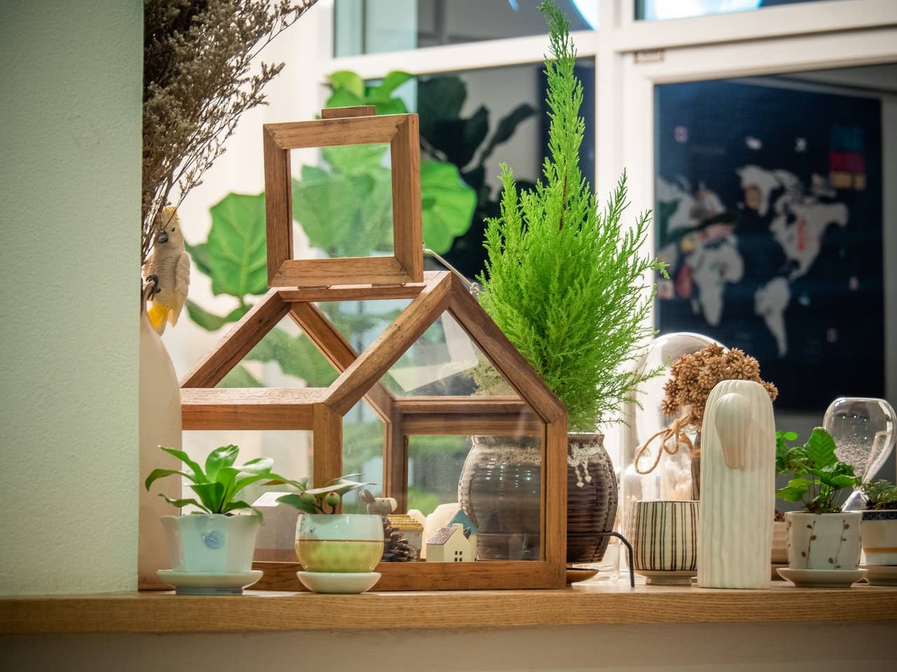 shell plant hanger Sea Shell Macrame Plant Hanger  OliveYouKnot