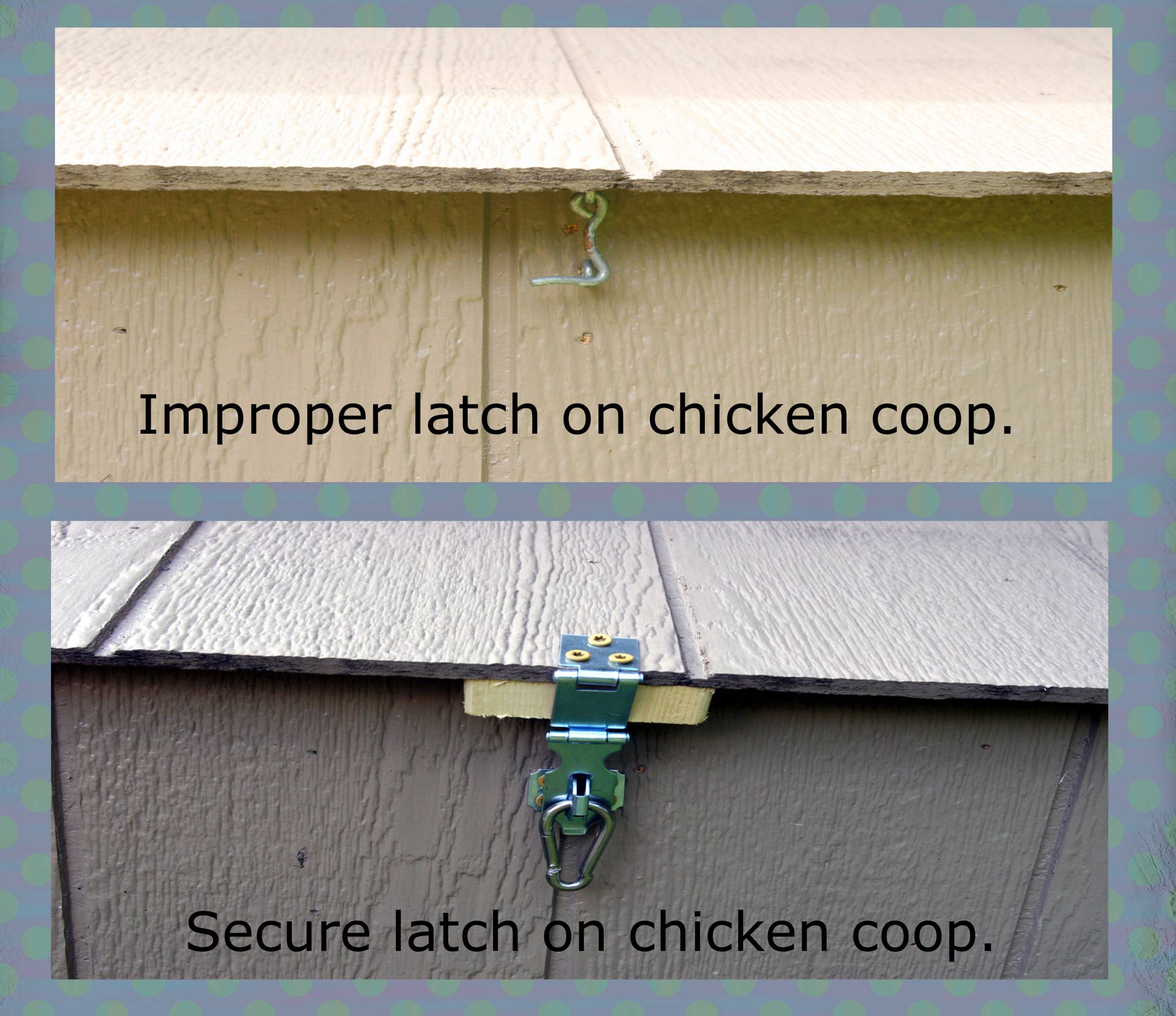 How to Make Your Chicken Coop Predator-Proof - Dengarden