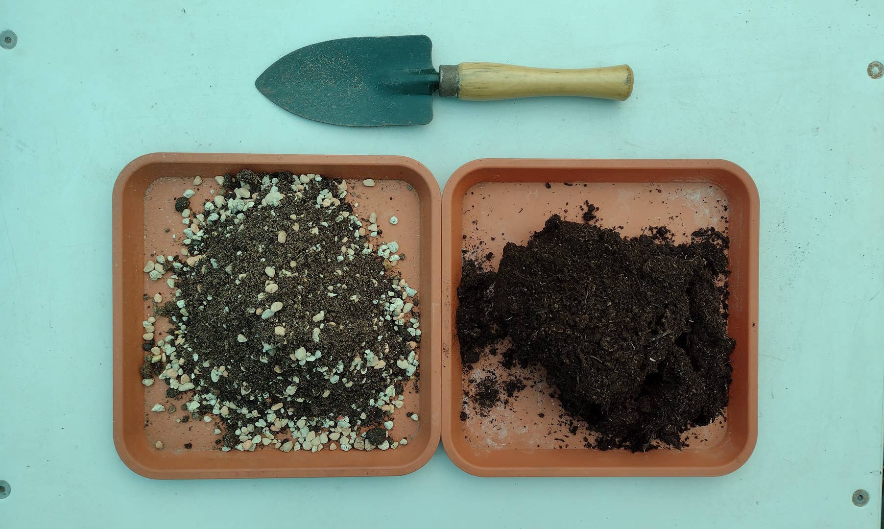 How Cacti and Succulent Soil Is Different From Ordinary Potting Soil -  Dengarden