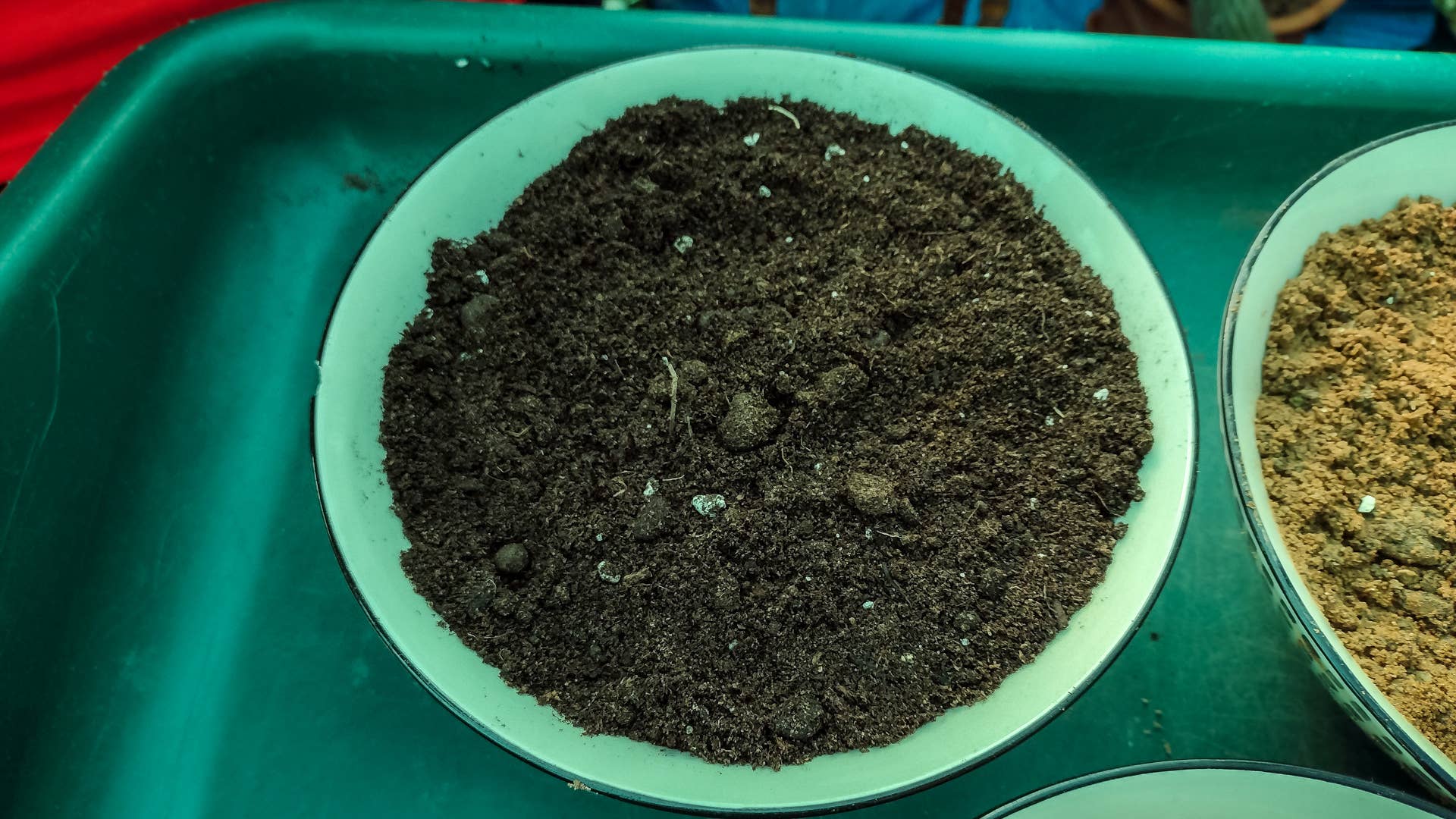 How to Make Cactus and Succulent Soil Mix - Dengarden