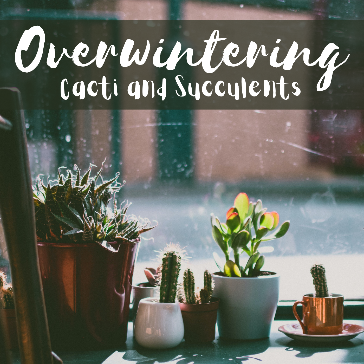 succulent with stem Creative Co-op