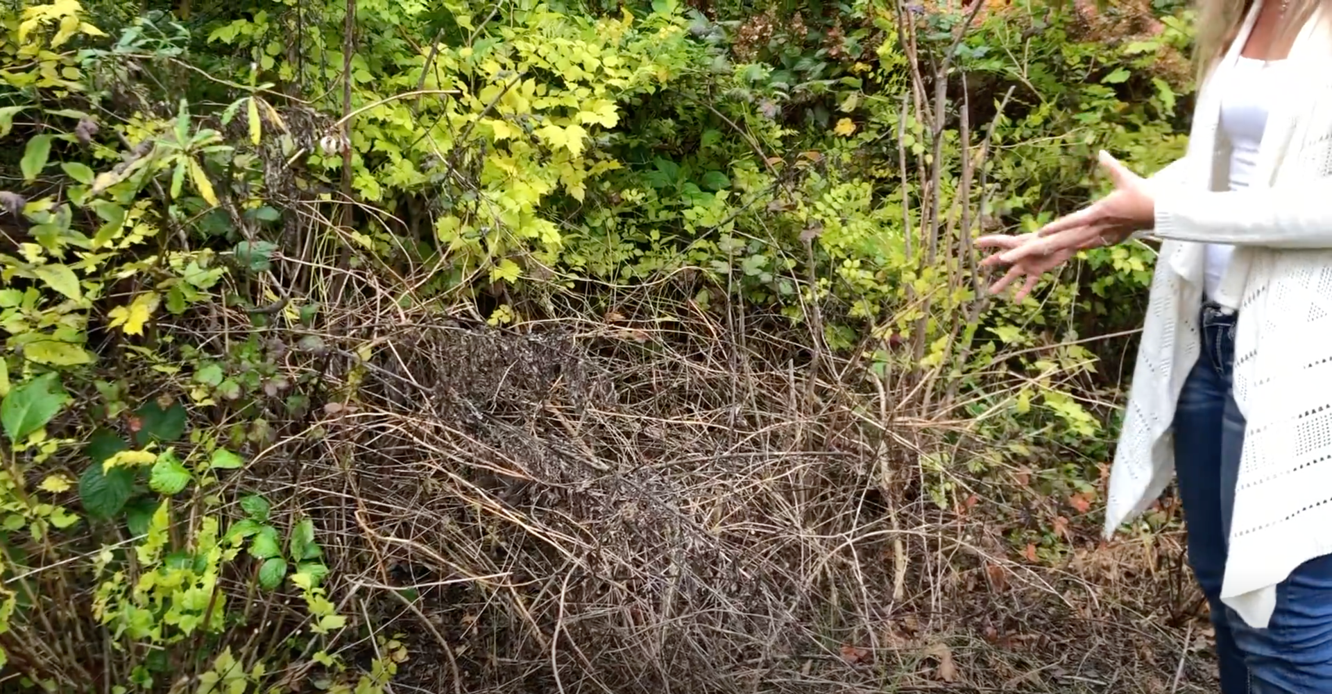 How to Prepare Your Garden for Winter (9 Dos and Don'ts!) - Dengarden
