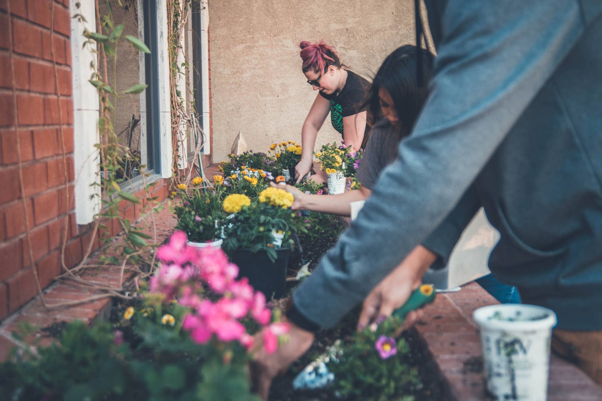 Top 10 Gardening Forums, Chat Rooms, and Communities - Dengarden