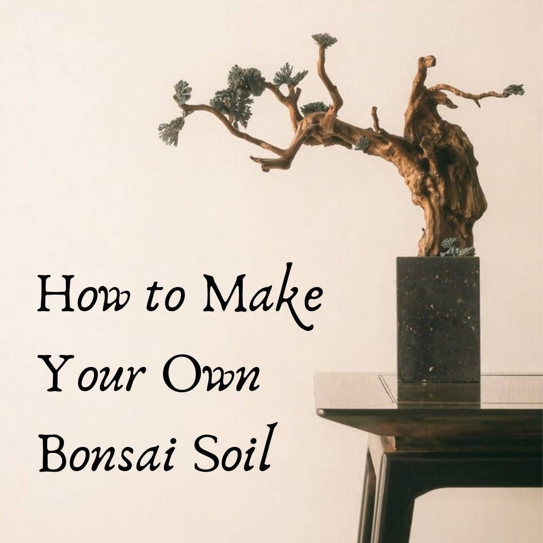 How to Mix Your Own Bonsai Soil - Dengarden