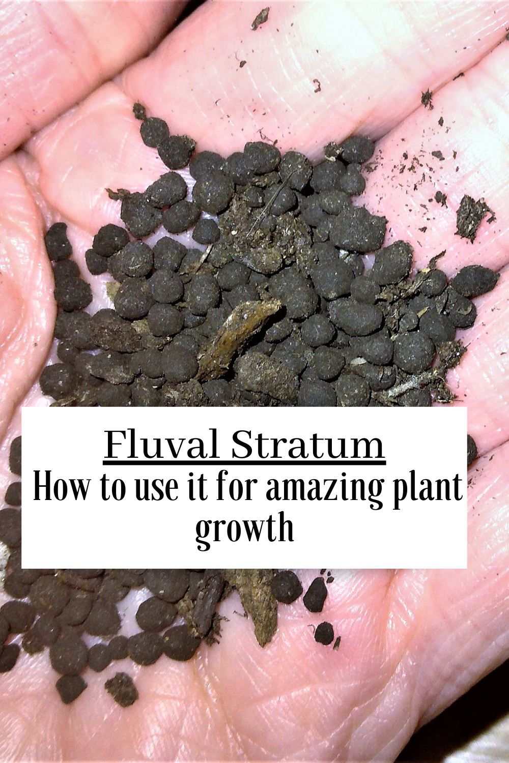 How to Use Fluval Stratum for Your Plants, Indoors and Out - Dengarden