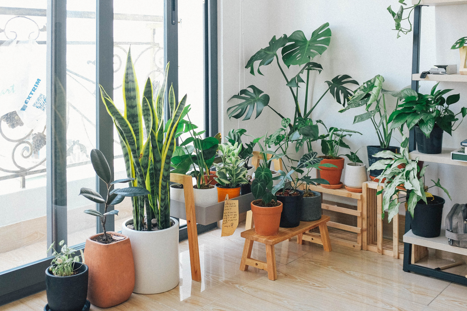 How to Choose the Best Pots for Houseplants - Dengarden
