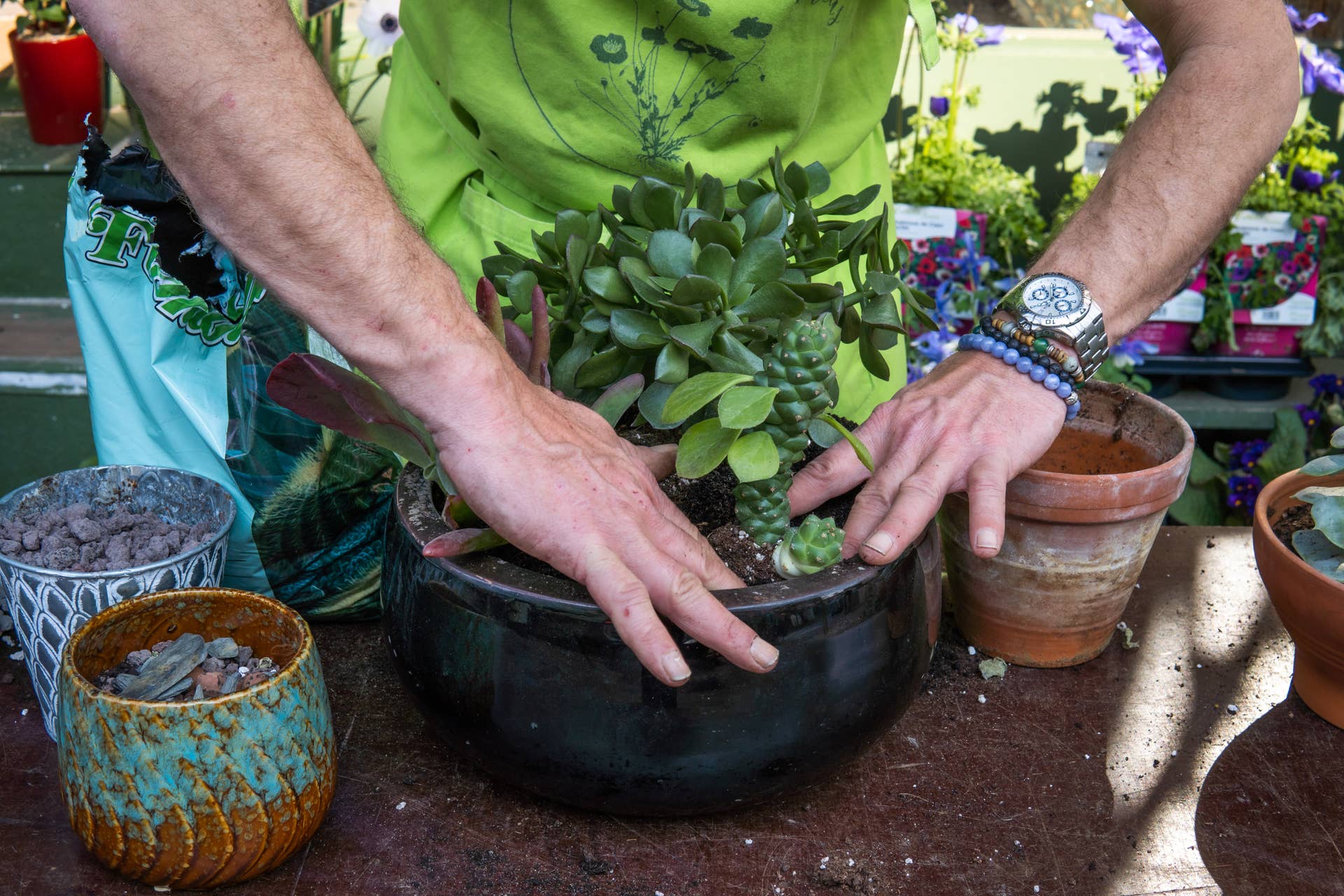 Plant Swap Prep Putting Your Best Root Forward Dengarden