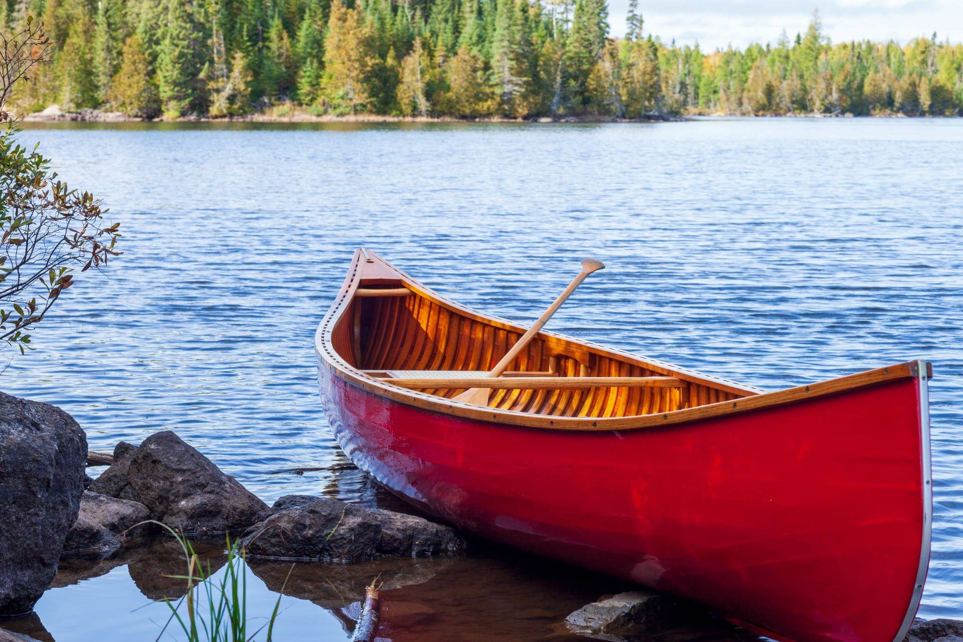 Couple Turns Canoe Into Stunning Planter - Dengarden