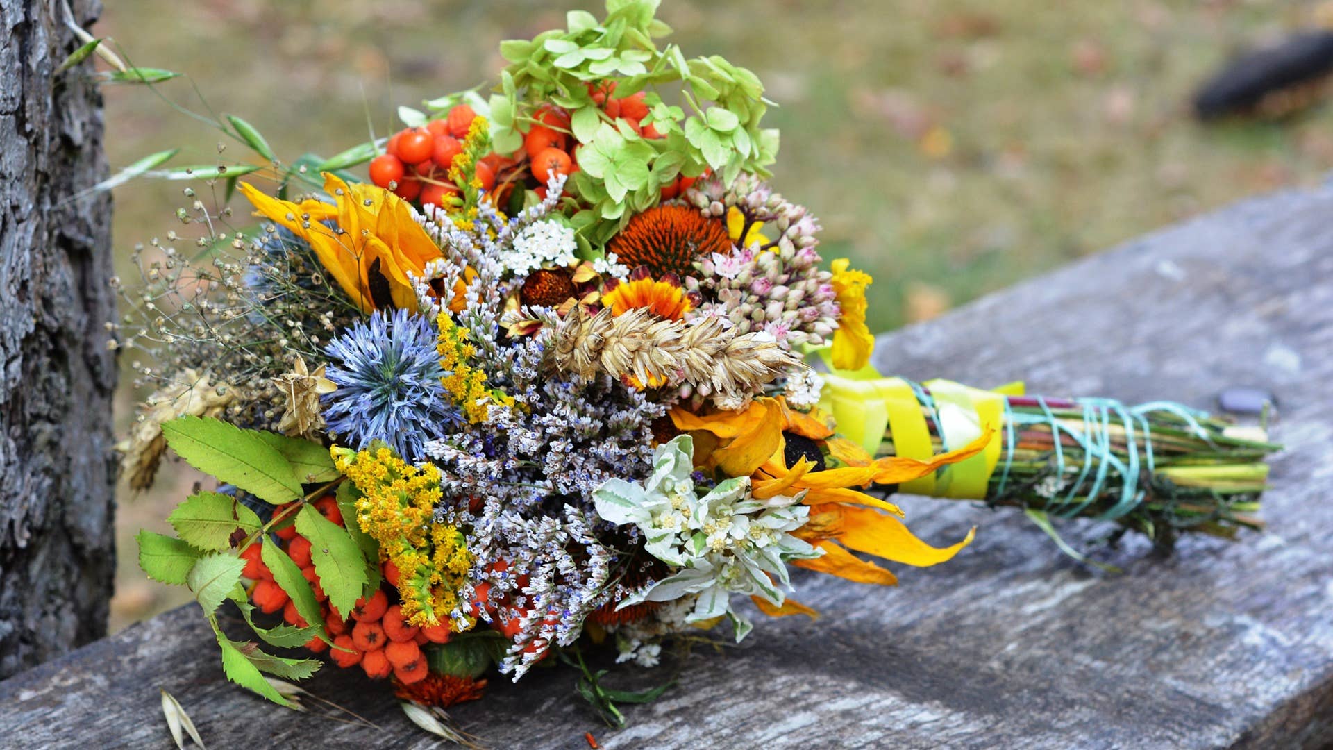 30 Flowers and Their Meanings With Pictures - Dengarden