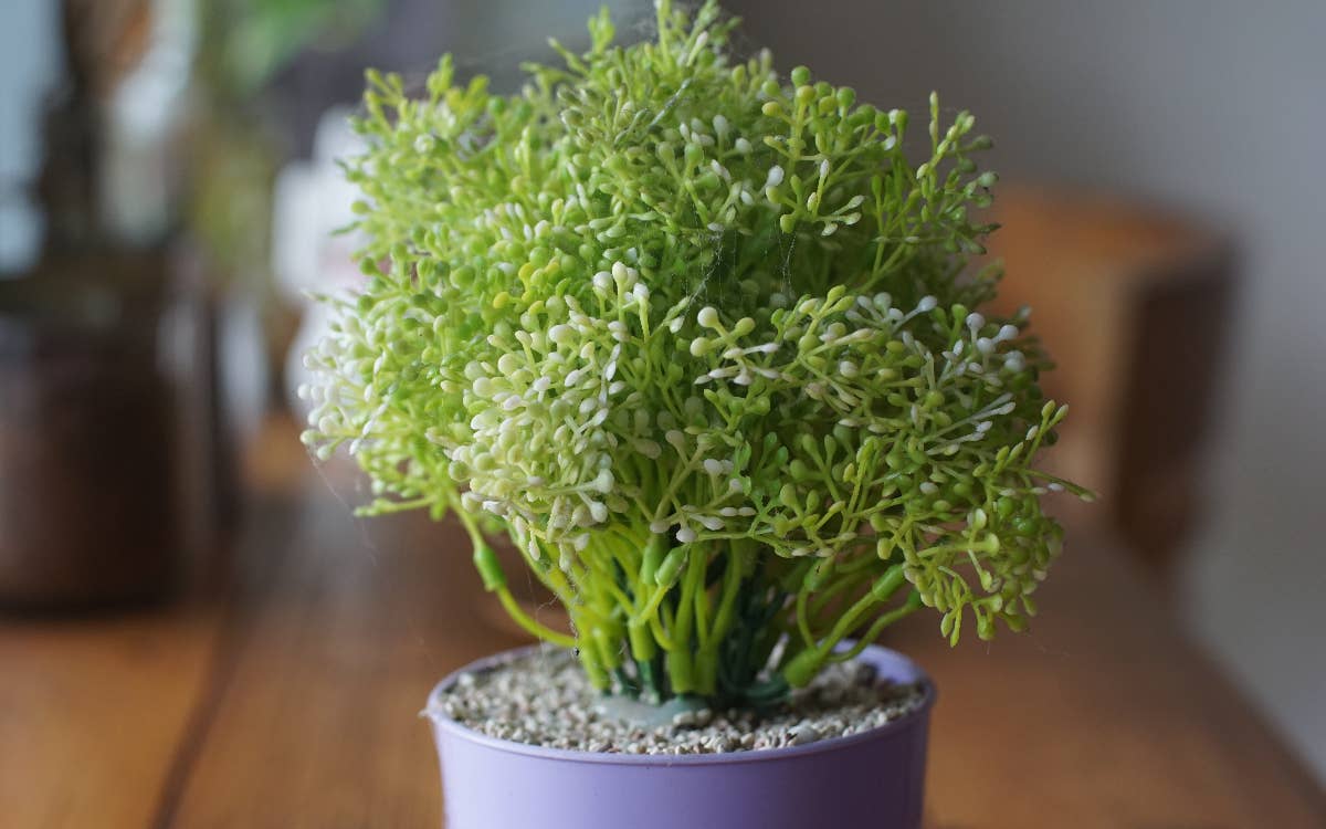 indoor plant stand modern Multi Layer Plant Stand Modern Decoration Plant