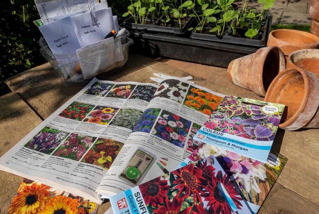 Free Seed Catalogs to Request in January - Dengarden