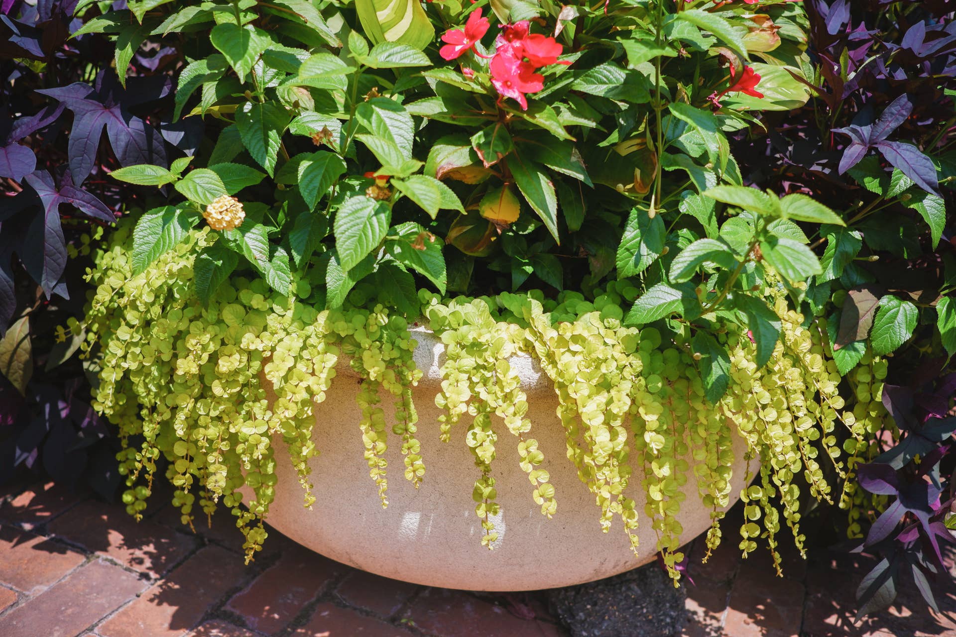 iron plant pot Iron X-Tall Plant Stand main image 1