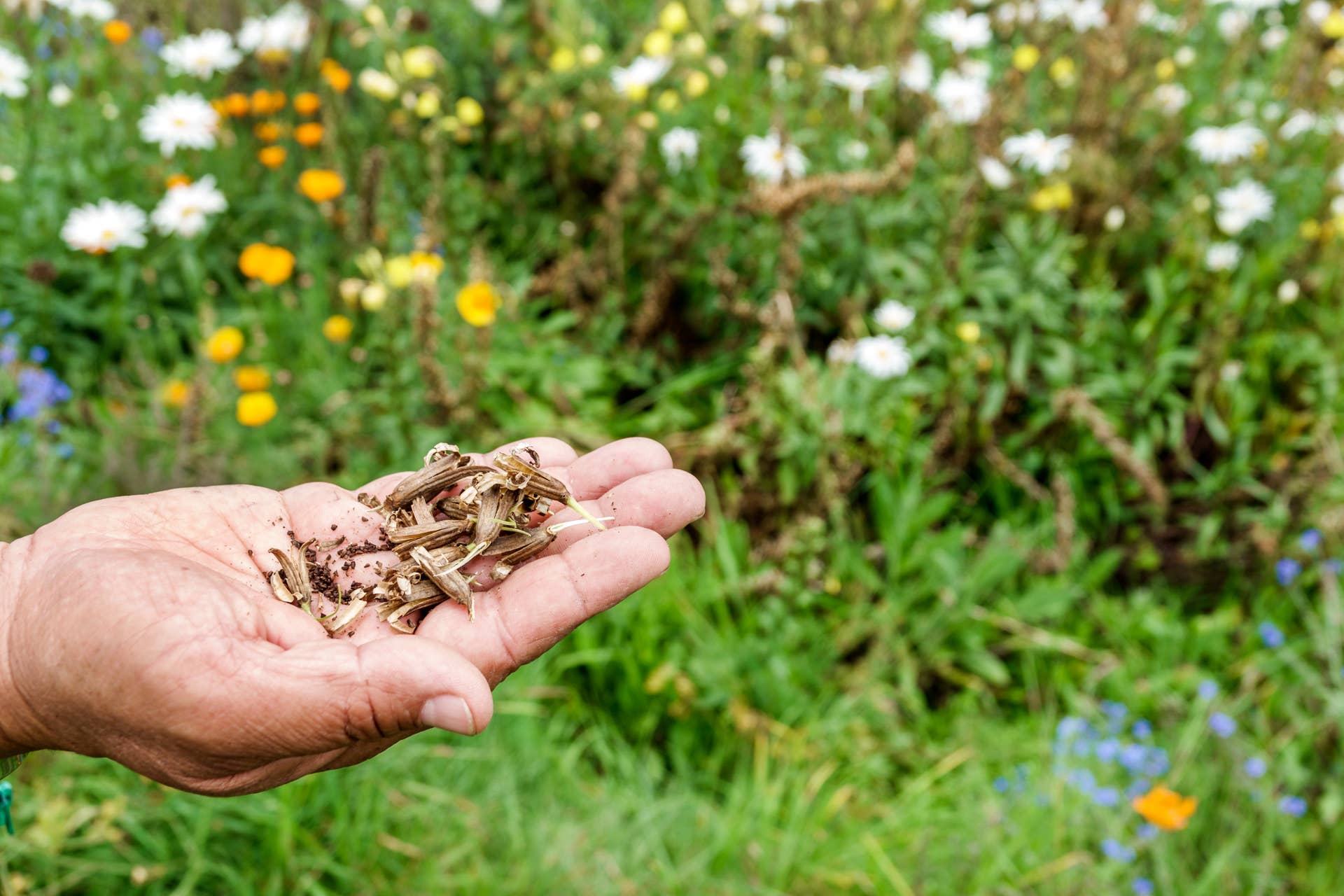 large hanging plant pot Large Vertical Wave Air Plant Hanger, Air plant holder, Hanging Plante