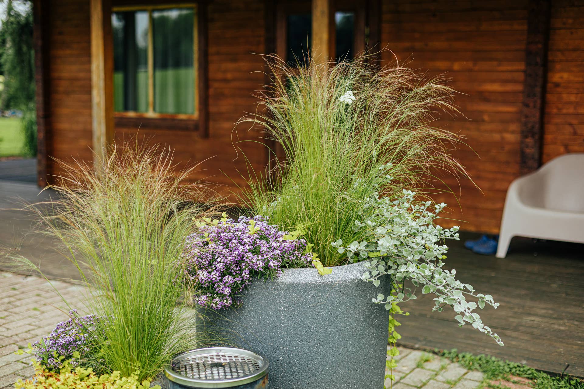The Best Flowers for Your Fall Planters, According to Professional  Gardeners - Dengarden