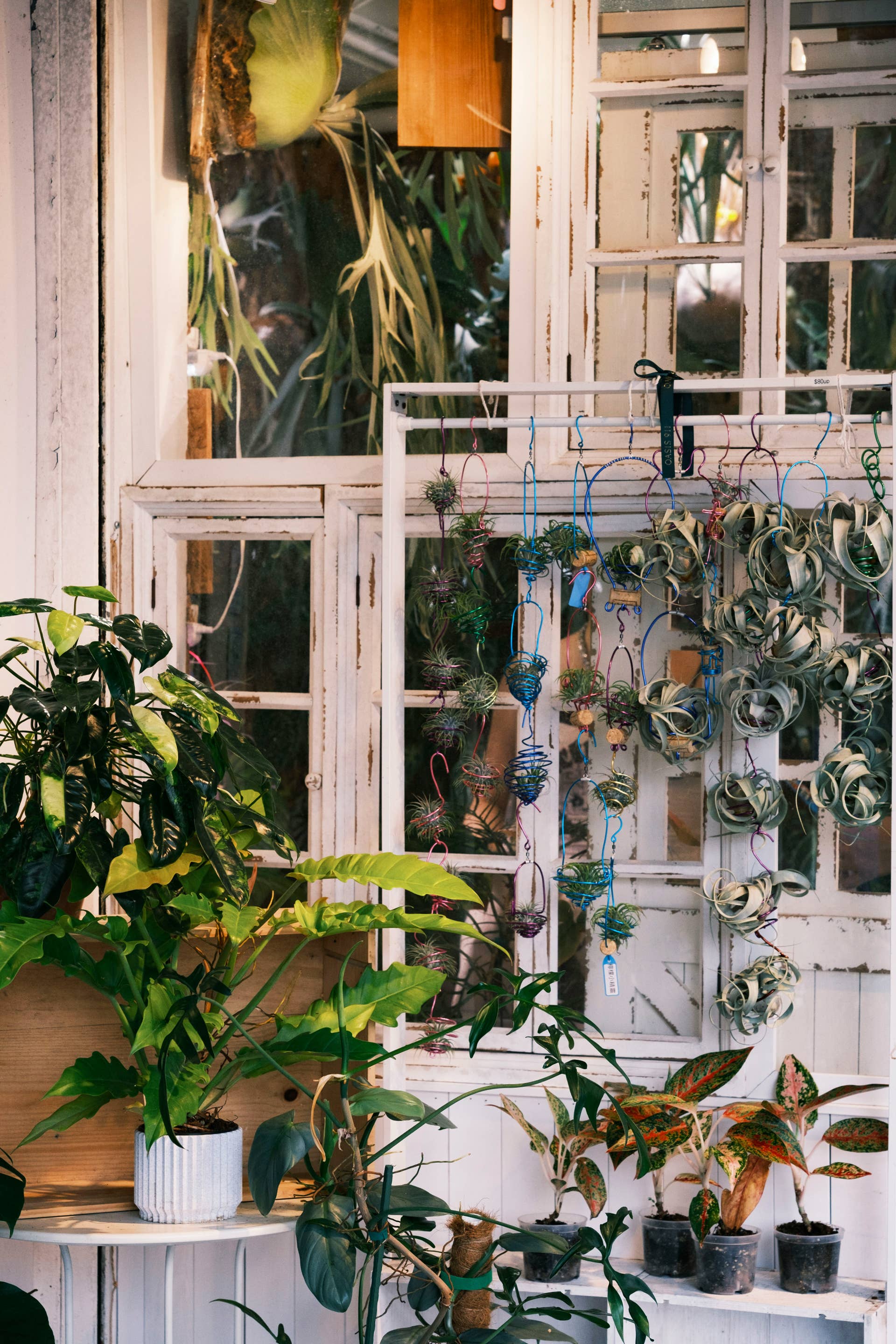 How to Hang Plants From an Apartment Balcony - Dengarden
