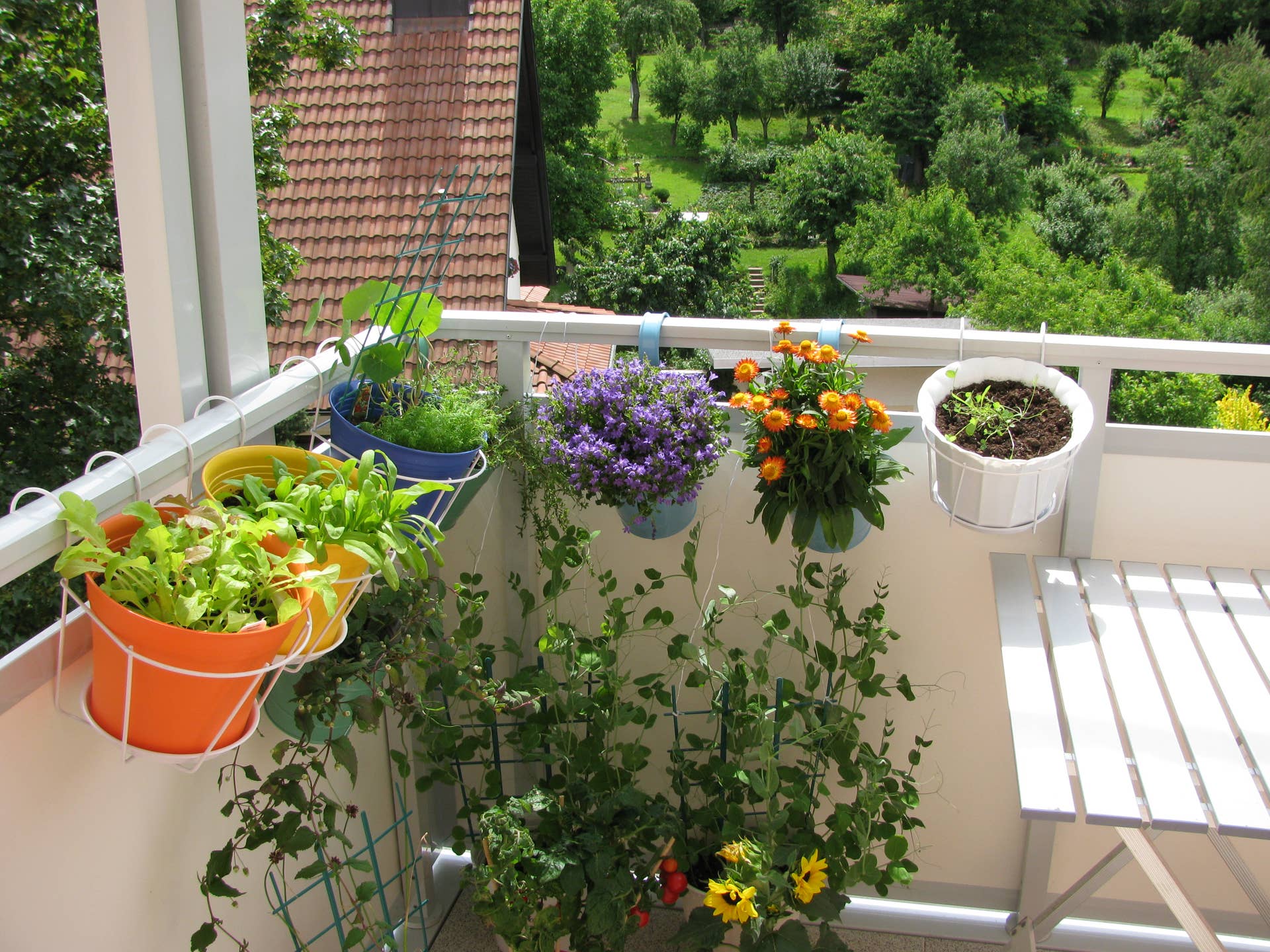 How to Hang Plants From an Apartment Balcony - Dengarden