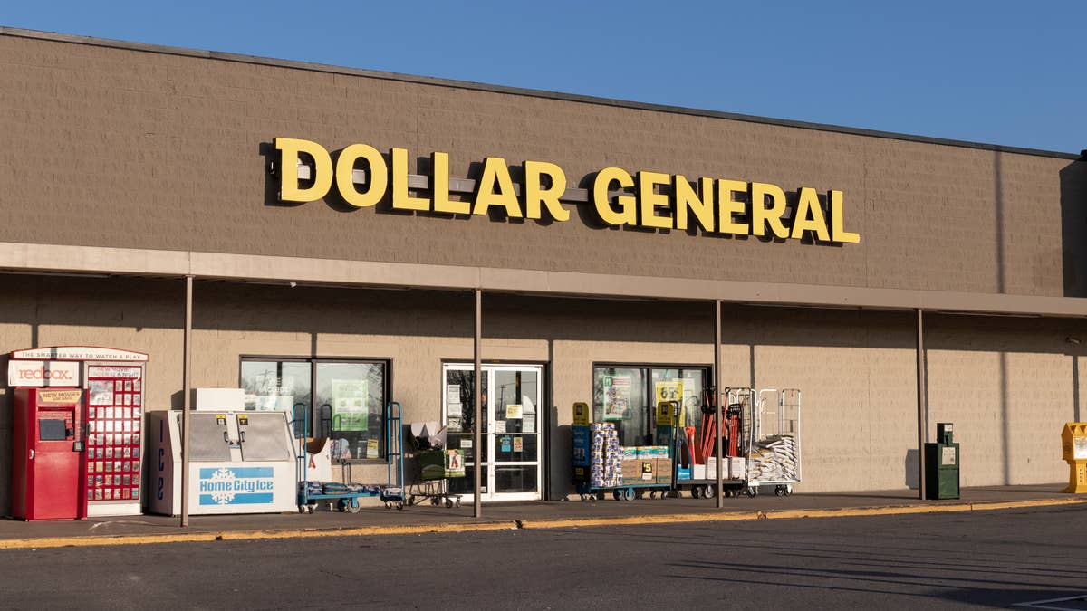 Dollar General's $3 Solar Garden Stakes Will Add Elegance to Your Outdoor Area