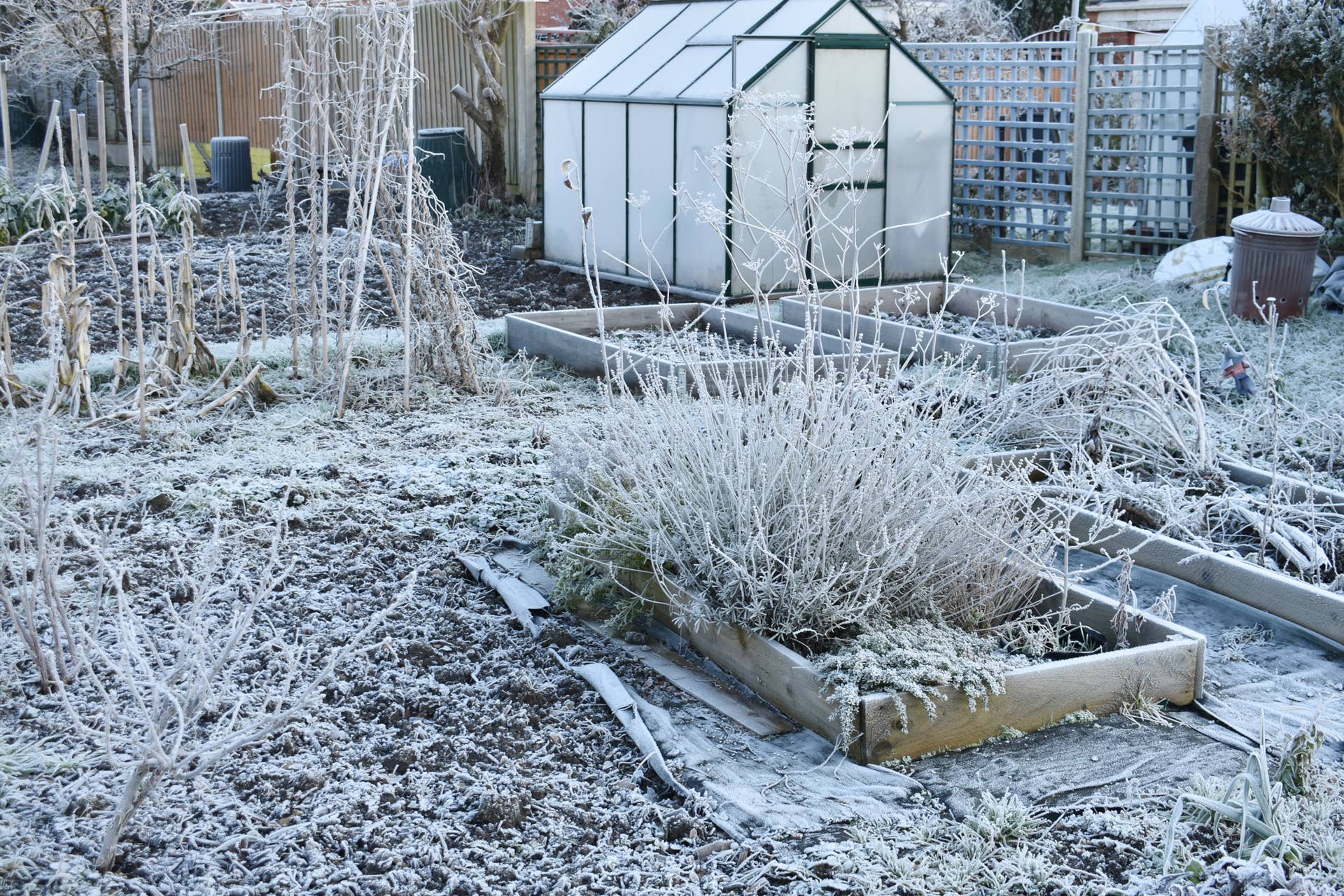How to Winterize Your Raised Garden Beds Before the First Snow - Dengarden