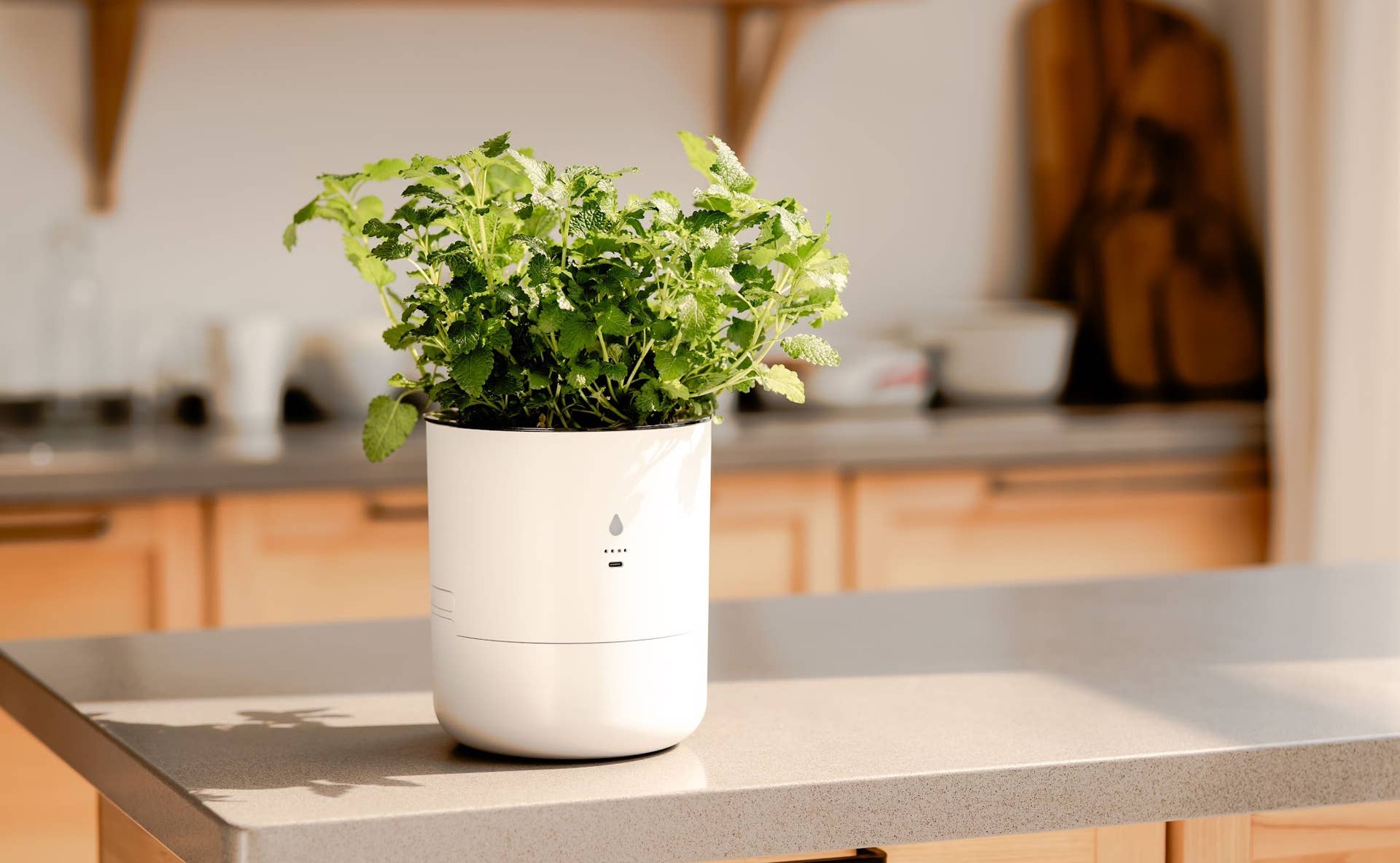 LeafyPod Brings Smart AI-Driven Tech to Indoor Plant Care - Dengarden