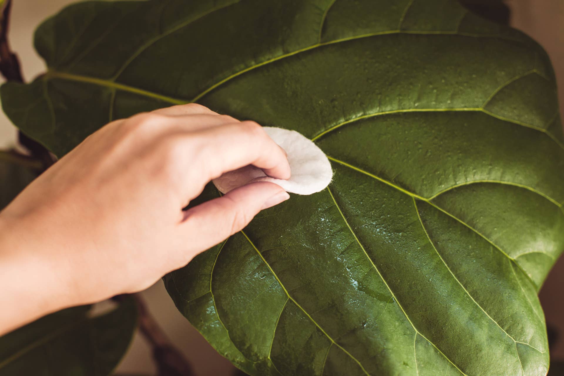 boo's door monsters inc Enchanted Door | Flower Door Stickers | Inspired by Boo's Door Monsters Inc  | Kids Room Decor | Nursery Decor main image 1