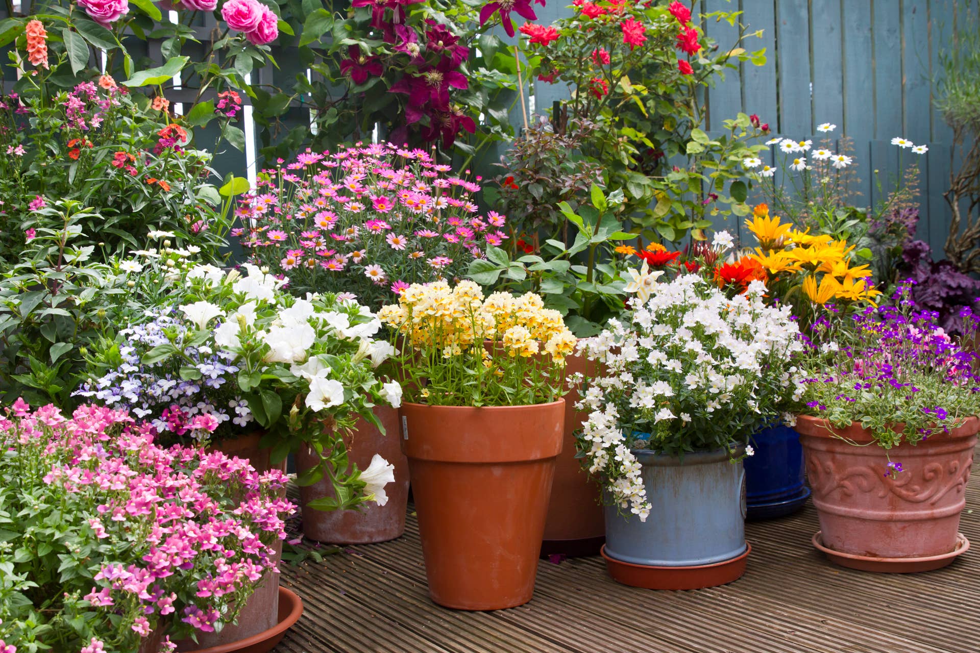 18 Small Space Garden Ideas That Pack a Colorful Punch - Dengarden