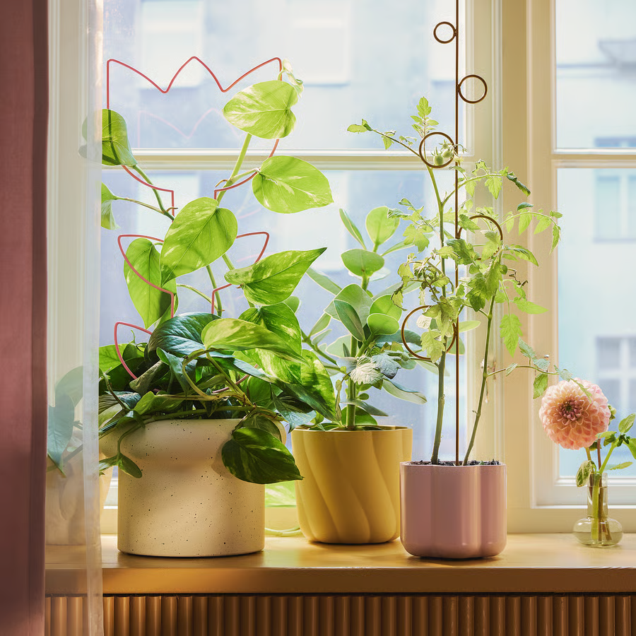 IKEA's DOFTRIPS Plant Care Home Decor Collection Is So Joyful - Dengarden