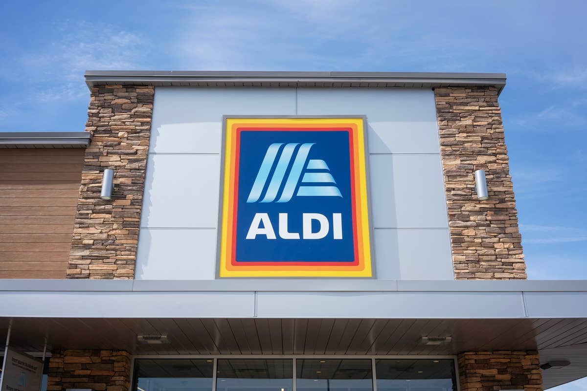 Aldi Is Selling a New Houseplant That Is Perfect for Spring - Dengarden