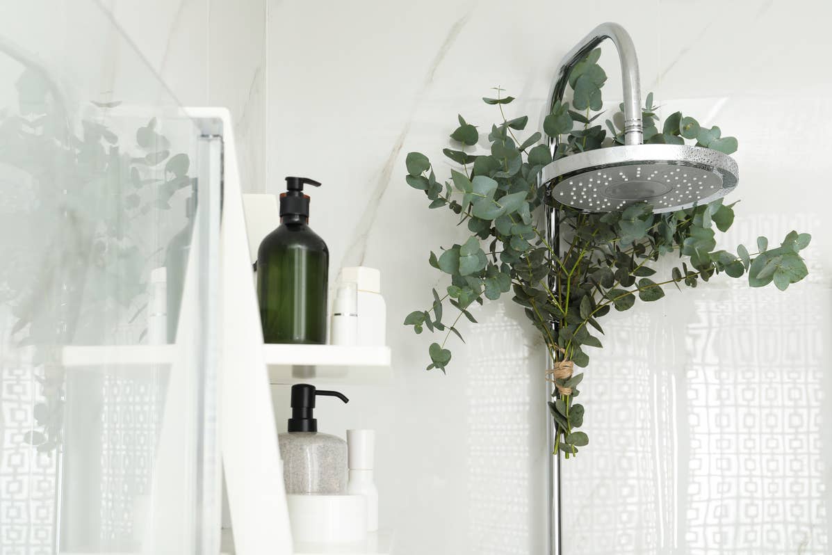 Trader Joe's Says Its Fresh $3.99 Eucalyptus Upgrades Every Room - Dengarden