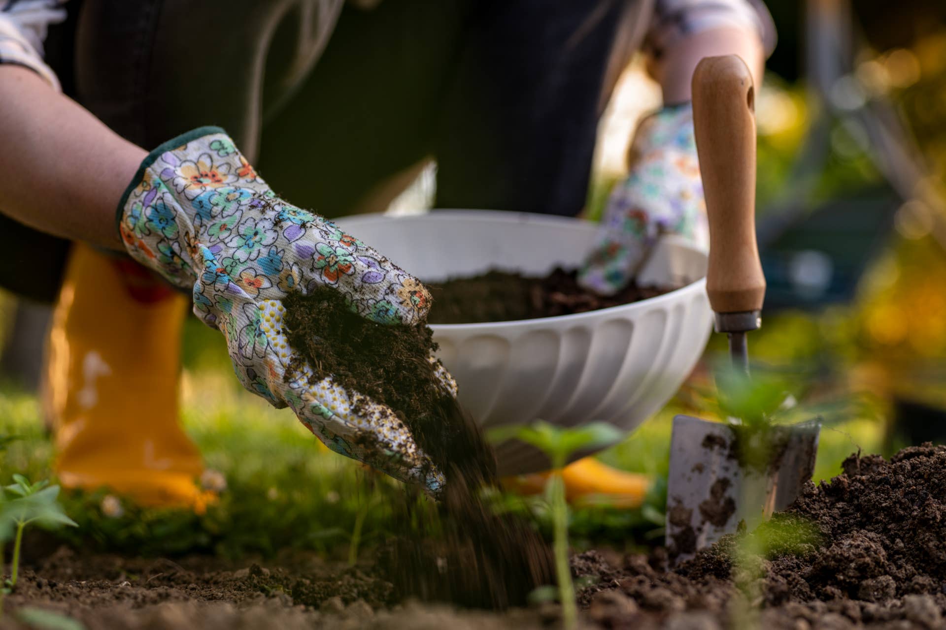 What To Do If Your Raised Bed Soil Sank Over Winter - Dengarden