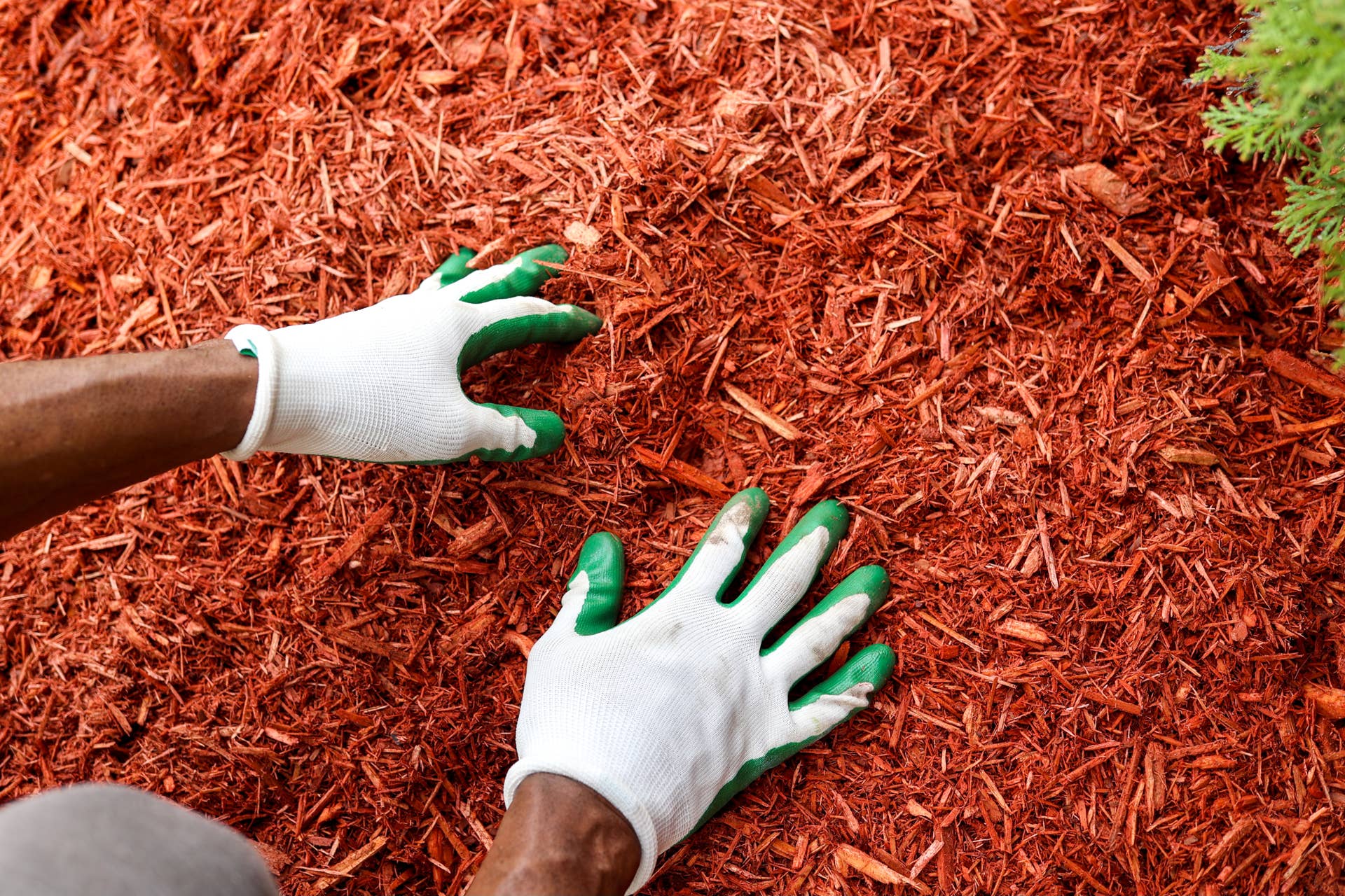 10 Ways to Get Rid of Weeds, According to Experts - Dengarden