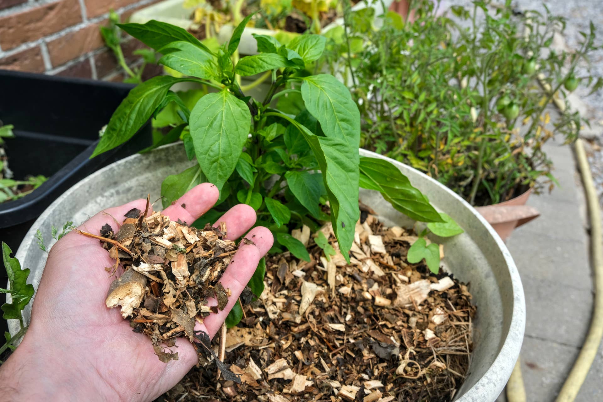 7 Mistakes That Make Container Gardens Dry Out Too Fast - Dengarden