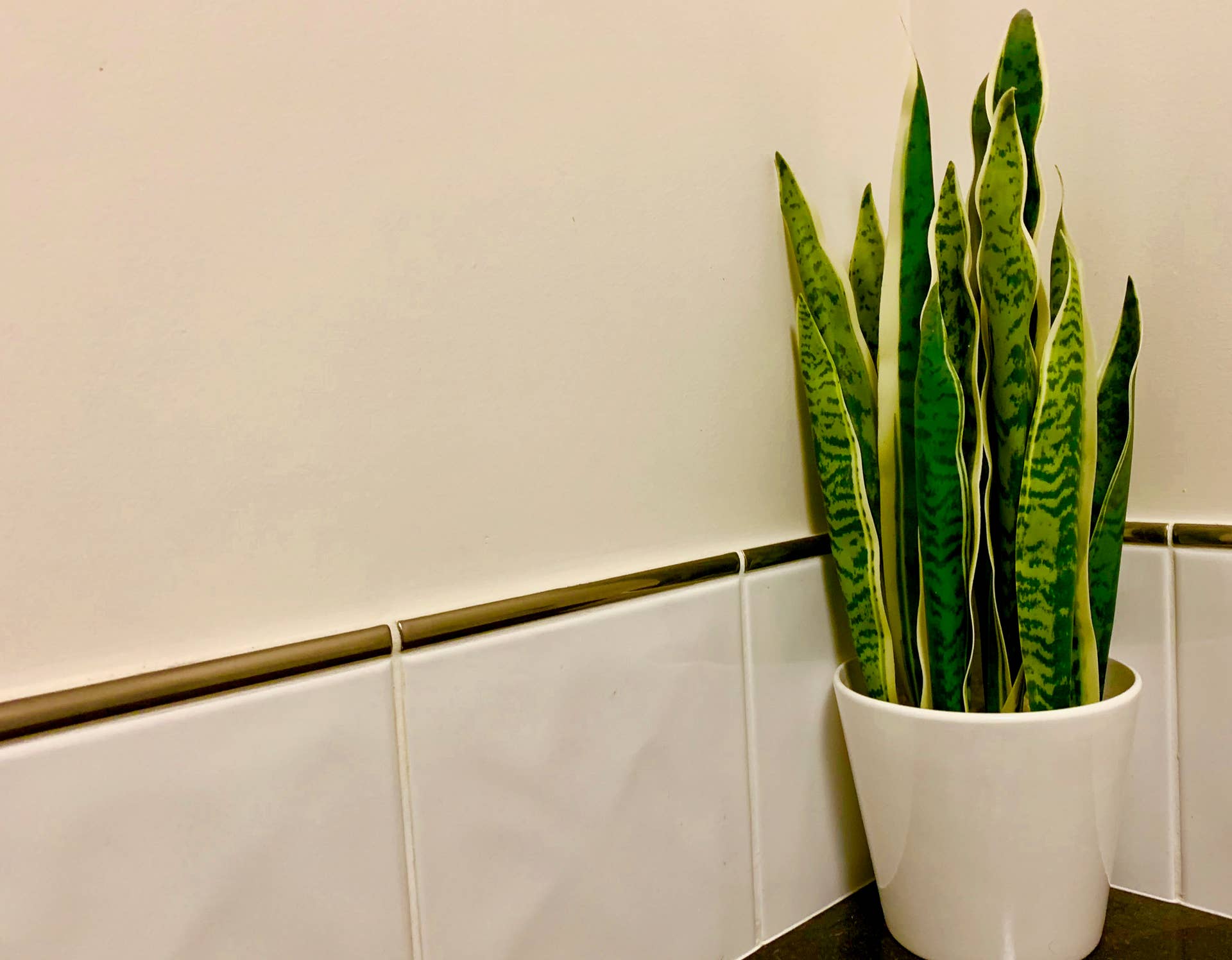 big indoor plant pots LE TAUCI 12 Inch Pots for Plants, Ceramic Large Planters for Indoor Pl   LETAUCI
