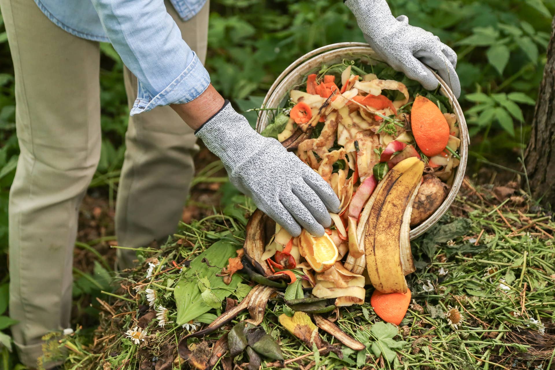 Compost Making Image Replenish Your Soil Fast With This Trench Composting Hack - Dengarden