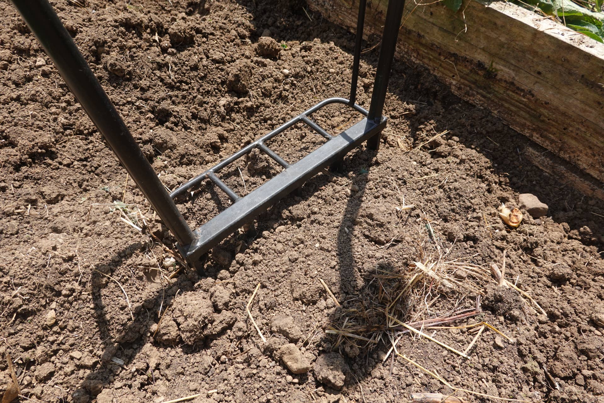 Why Tilling Makes Weeds Worse - Dengarden