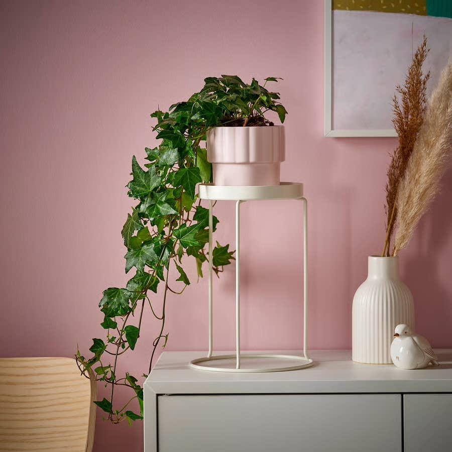 This Simple $7 IKEA Plant Stand Is Perfect for Spring Refreshes - Dengarden