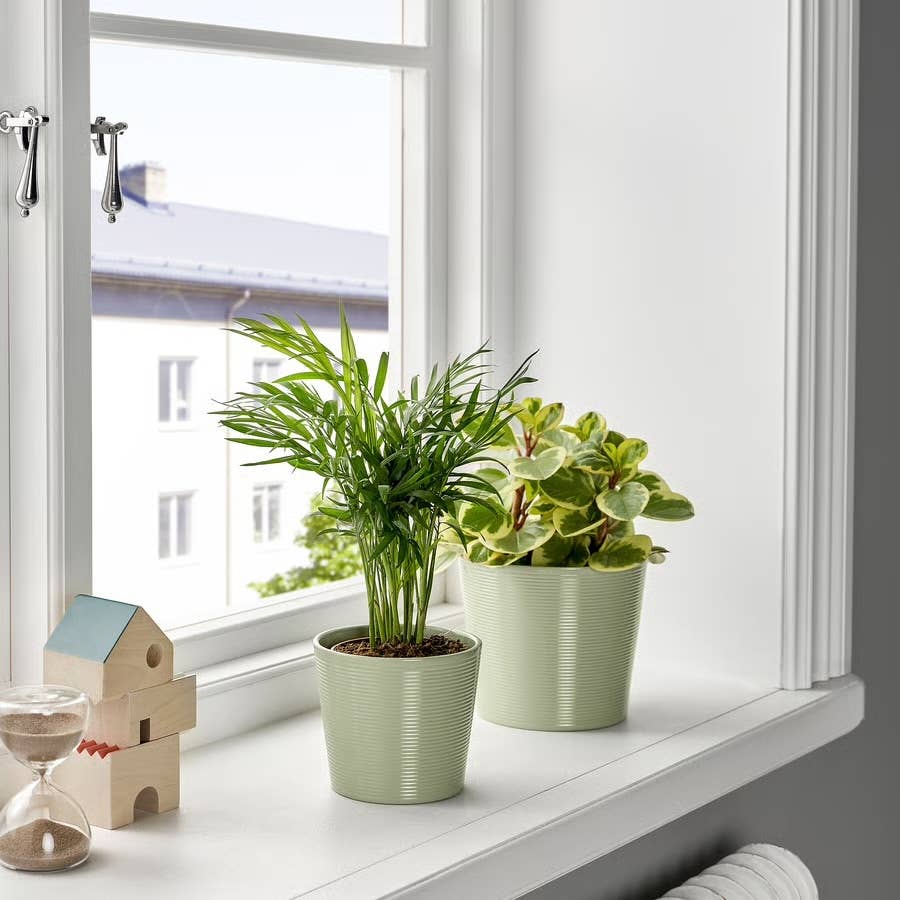 IKEA Is Selling a Lovely New Light Green Planter for Just $6 - Dengarden