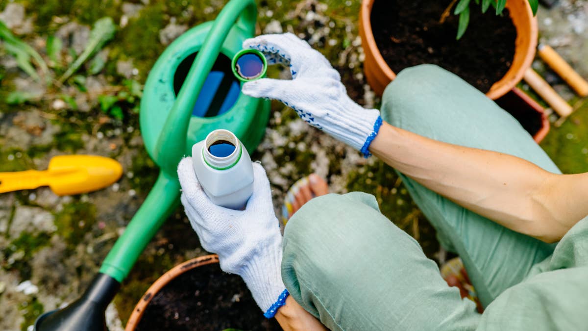 Are You Over-Fertilizing? Signs Your Plants Are Getting Too Much