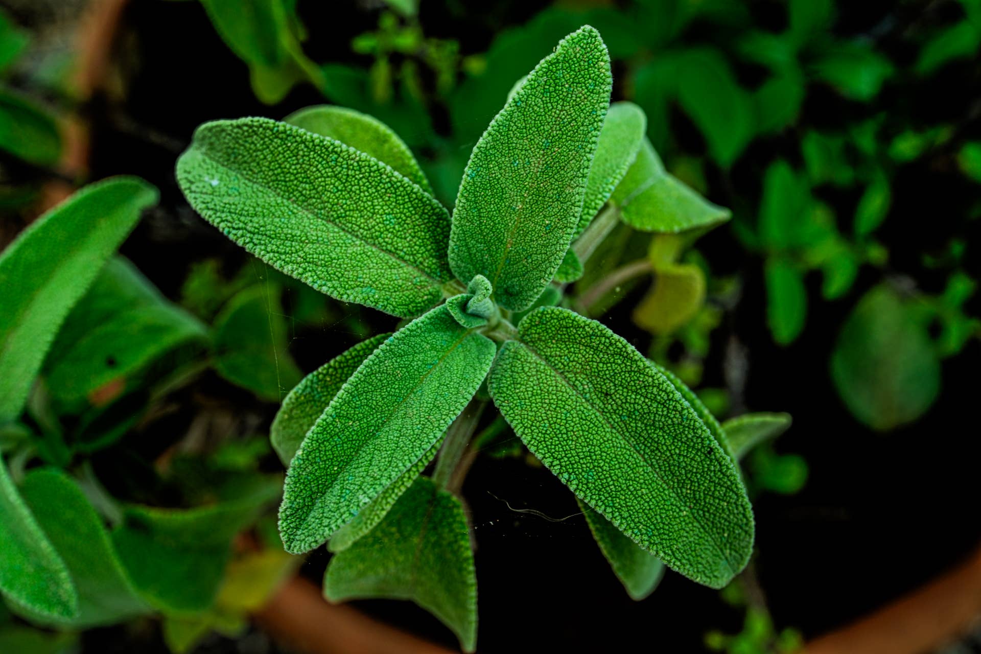 Close-up view