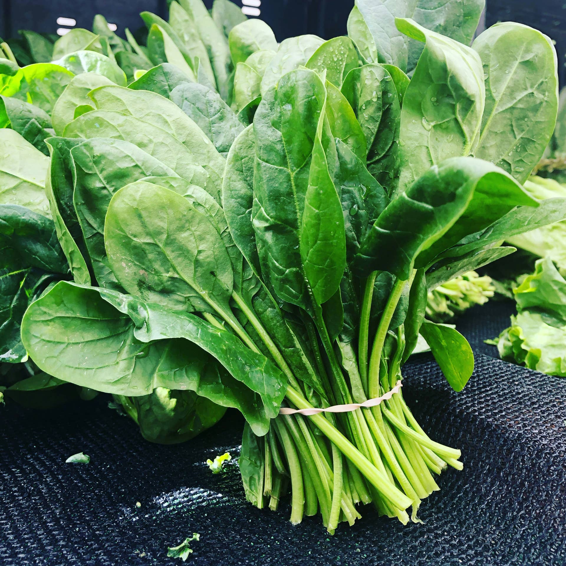 Spinach in the Farmers Market