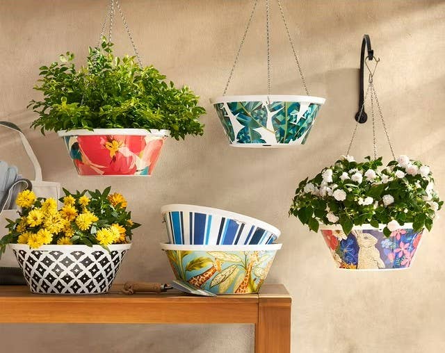 Sam's Club's Colorful Hanging Flower Pots Are Like Works of Art - Dengarden