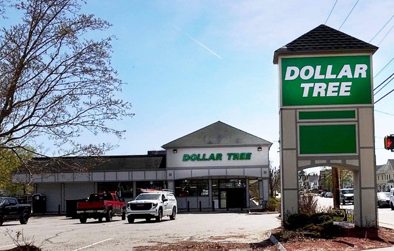 These Dollar Tree Solar Flower Stakes Bring Daytime Color and Nighttime Glow to ...