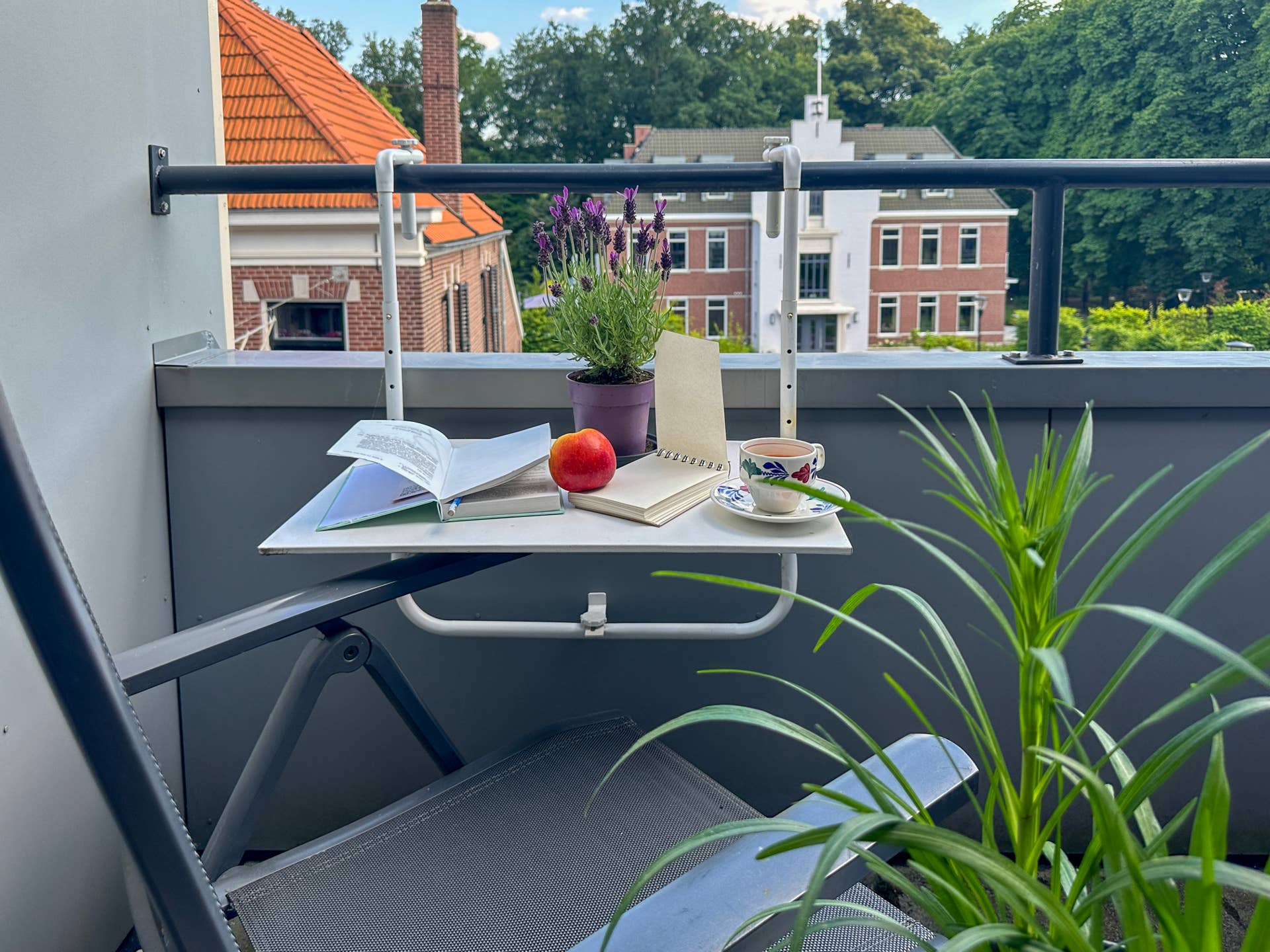 Photo inspiration: Visual Reference: Apartment Gardening Is 2026 S Biggest Wellness Trend