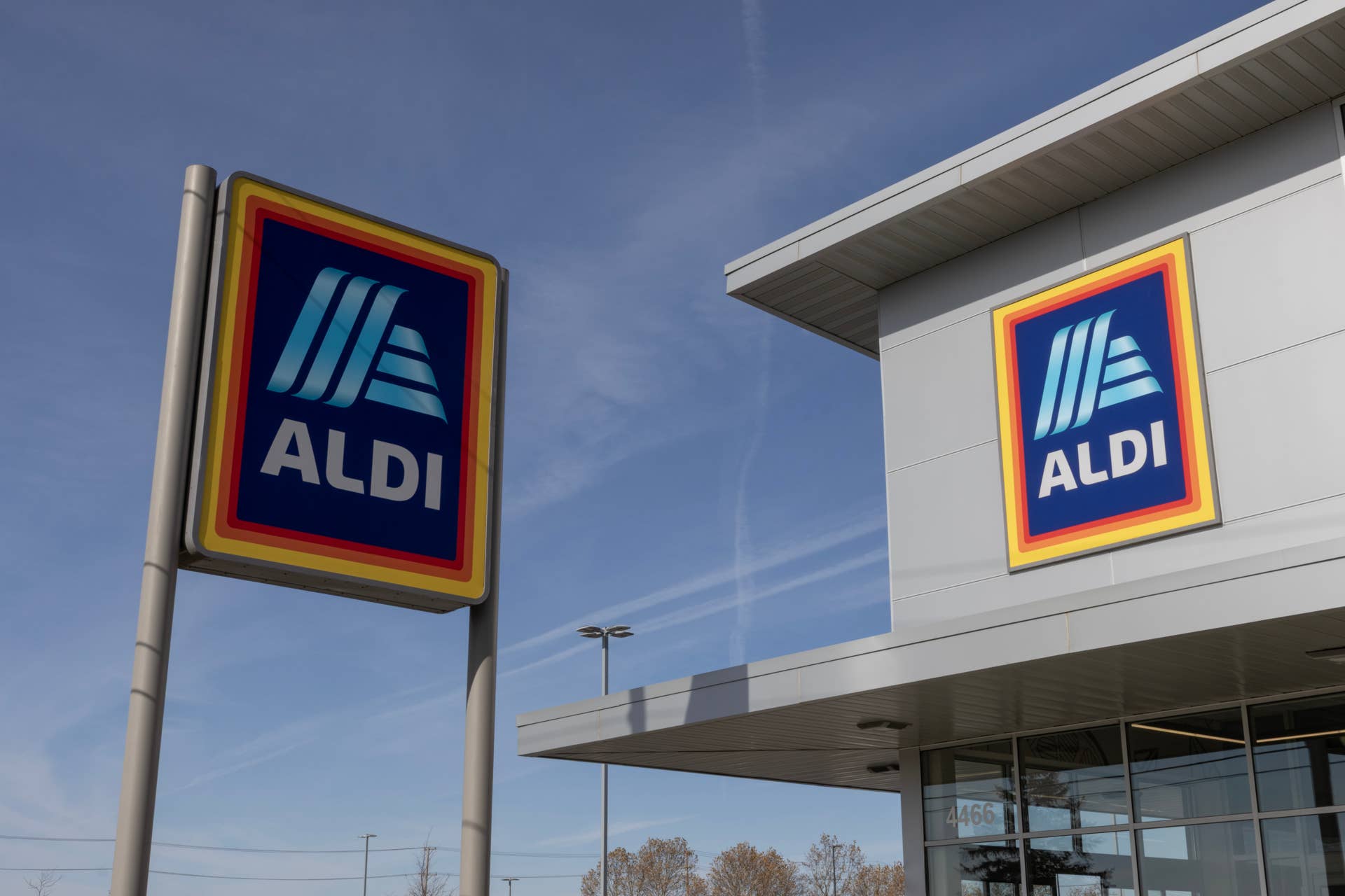 Aldi’s New Indoor-Outdoor Area Rug Prints Are Perfect for a Late Summer Refresh - Dengarden