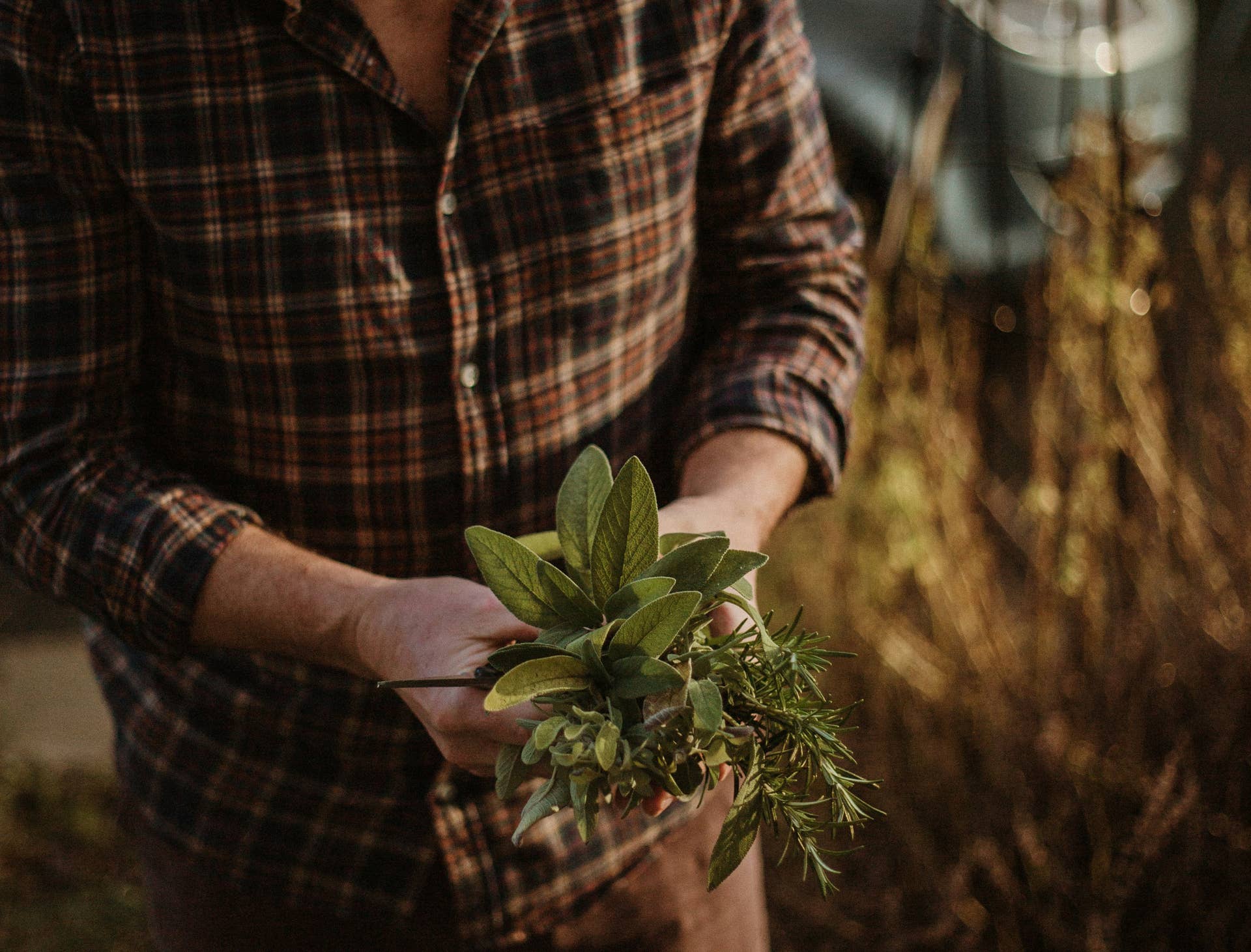 Store Your Fresh Herbs From the Garden With This Common $2 Vintage Find